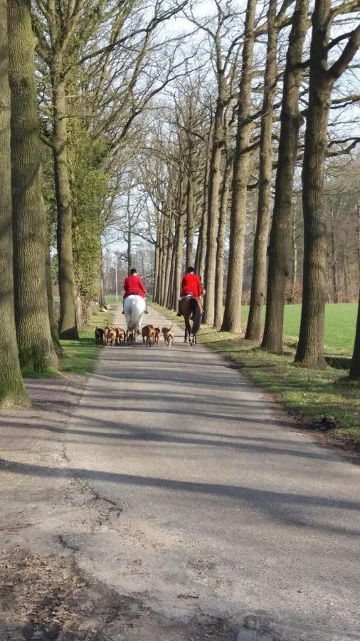 Hoeve De Laan Woudenberg Zewnętrze zdjęcie