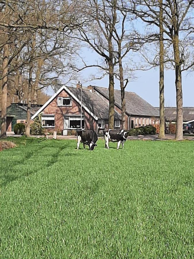 Hoeve De Laan Woudenberg Zewnętrze zdjęcie